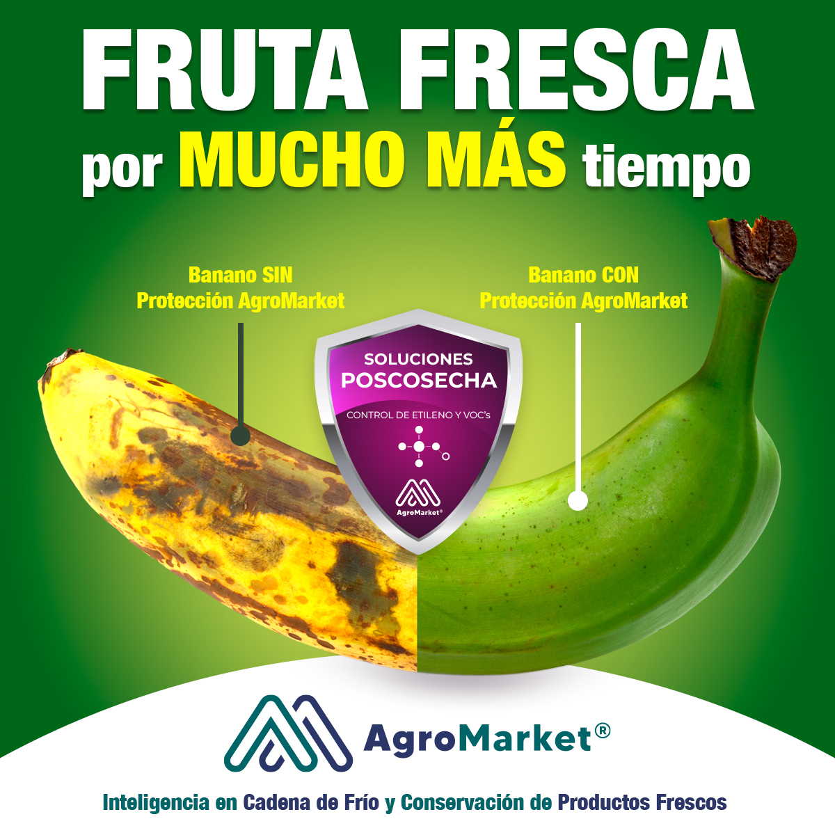 AgroMarket%20 %20Termógrafos,%20sachets%20y%20filtros%20para%20eliminar%20etileno